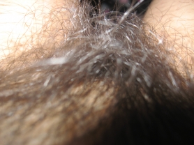 Hairy brunette show pusssy on cam - #19